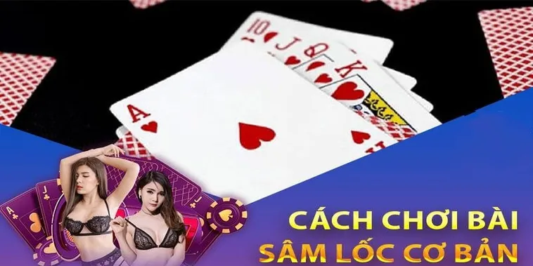 Bí Kíp Chinh Phục Sâm Lốc W88: Hành Trang Lên Đỉnh Thắng Lợi